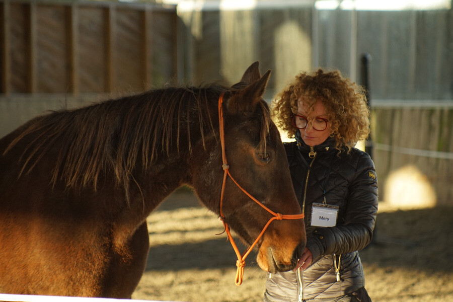 A woman looking thoughtful close to a horse's head. They are in a barn that has low warm sunlight.