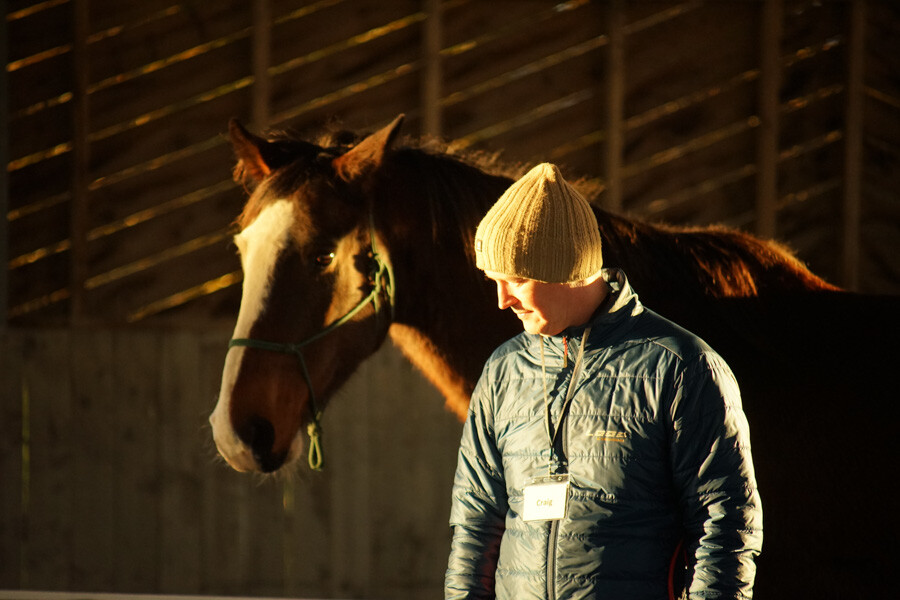 A man alongside a horse which is he looking at. The man wears a beanie hat and jacket. They are in a barn with low evening sunshine lighting the horse and man